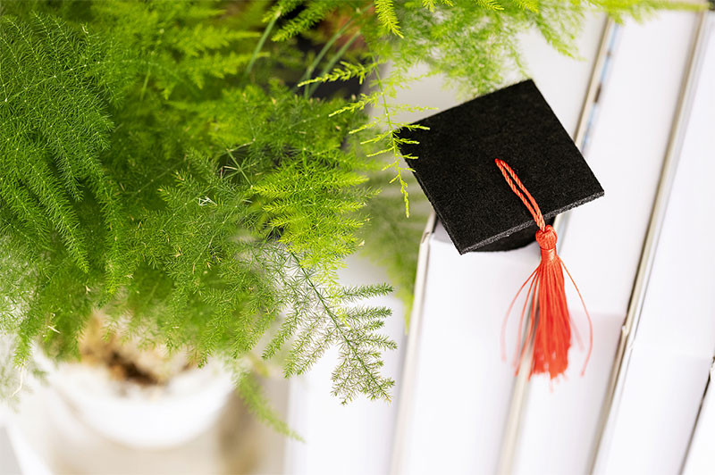 全日制大專和函授大專的區別?哪些方面不同? 全日制大專和函授大專的區別?哪些方面不同?